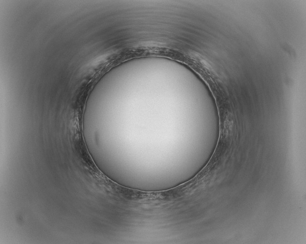 X0000115361062200911171348