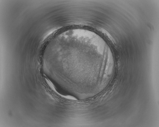 X0000115361064200911171348