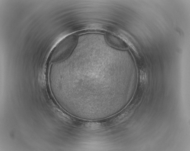 X0000115361068200911171348