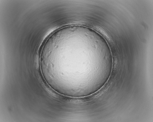 X0000115361079200911171348