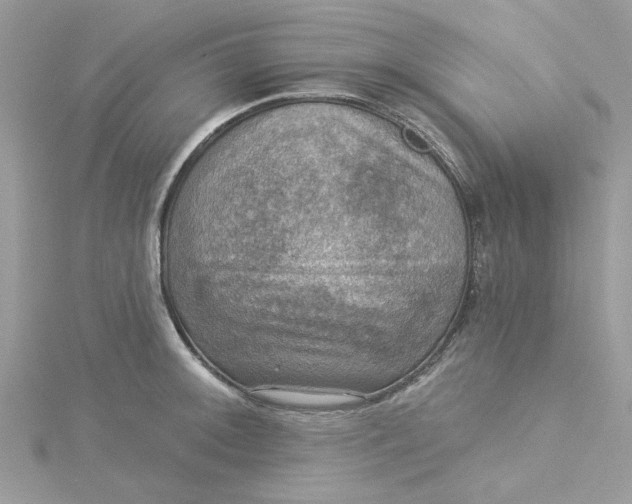 X0000115361092200911171347