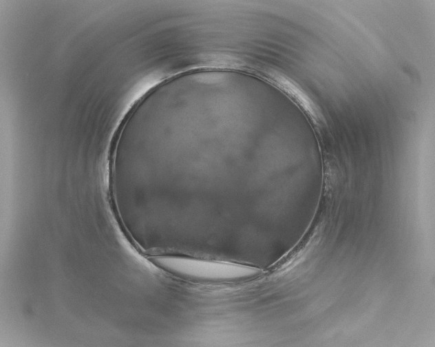 X0000115361095200911171347
