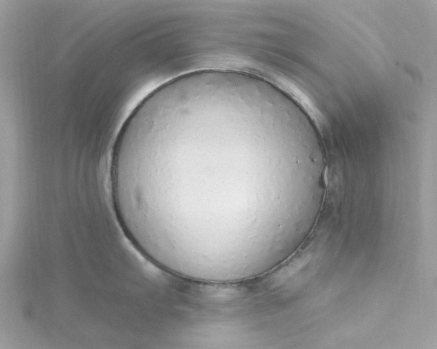 X0000115361103200911171347