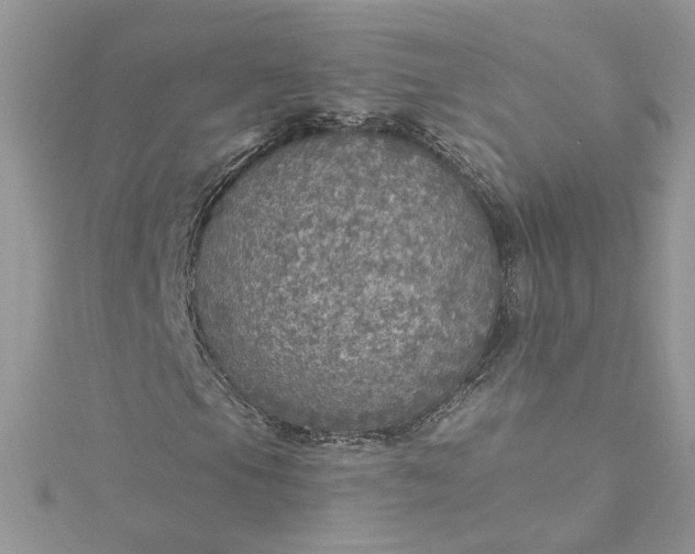 X0000115361105200911171347