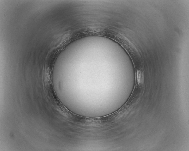 X0000115361107200911171347