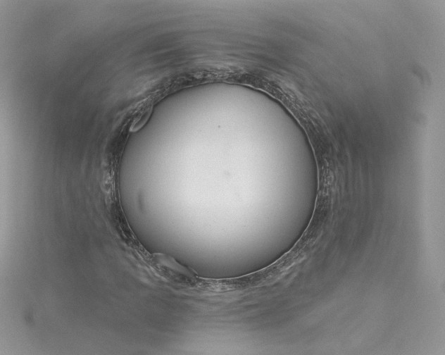 X0000115361109200911171347