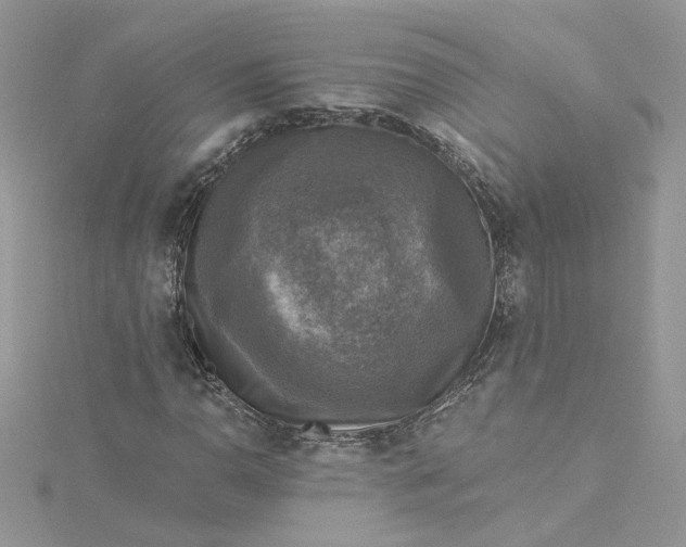 X0000115361110200911171347