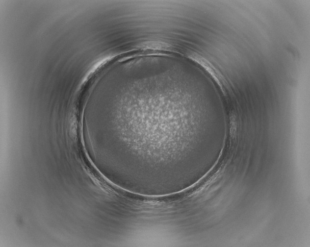 X0000115361115200911171347