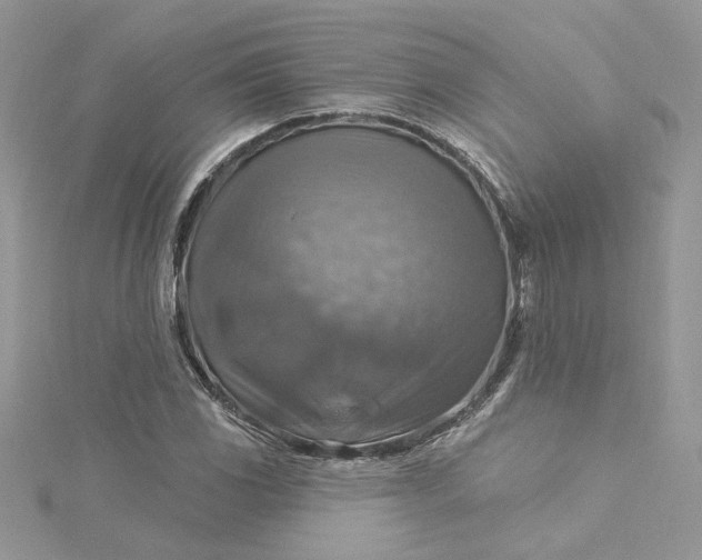 X0000115361117200911171347