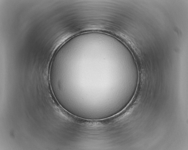 X0000115361129200911171347