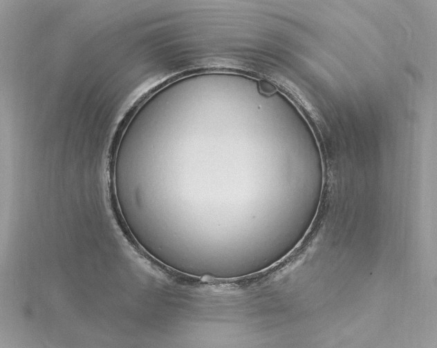 X0000115361133200911171347