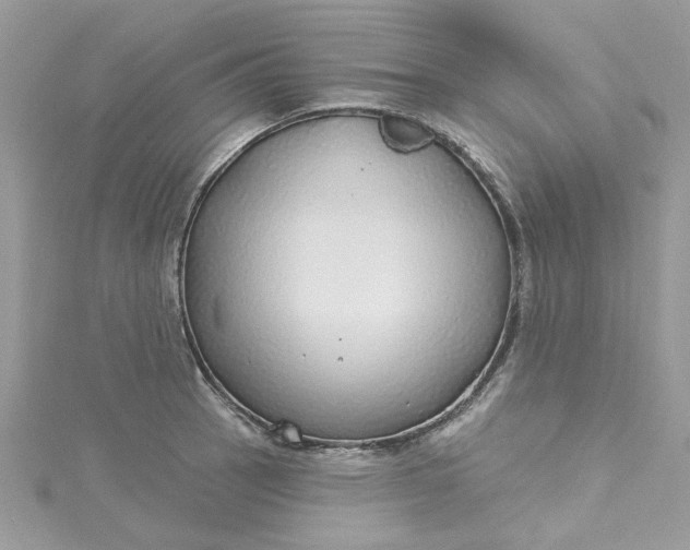 X0000115361137200911171347