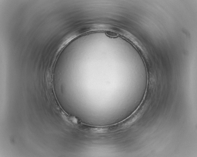 X0000115361145200911171347