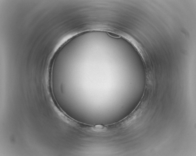 X0000115361147200911171347