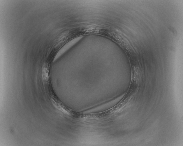X0000115361154200911171347