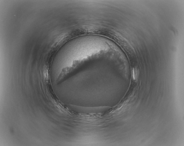 X0000115361155200911171347