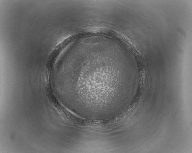 X0000115361158200911171347