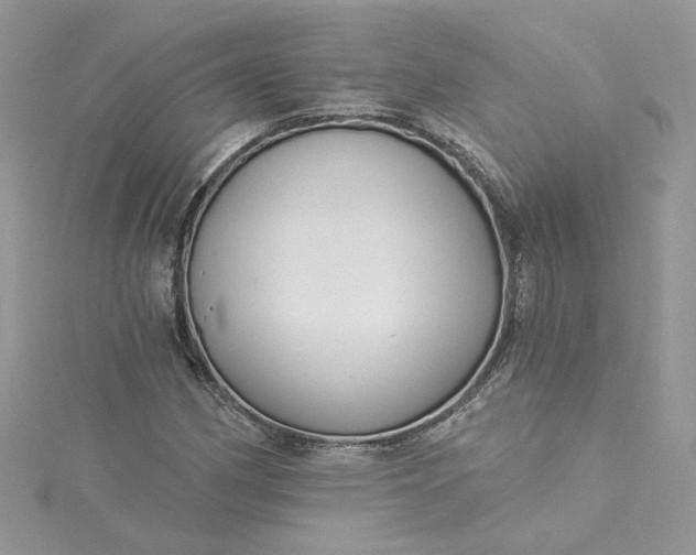 X0000115361162200911171347