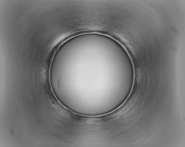 X0000115361163200911171347