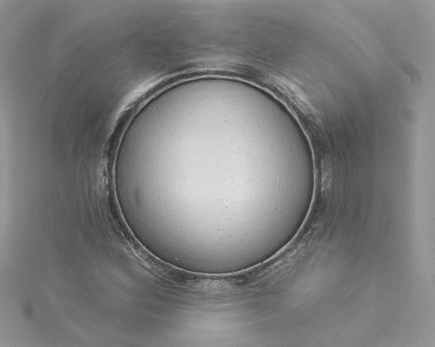 X0000115361164200911171347