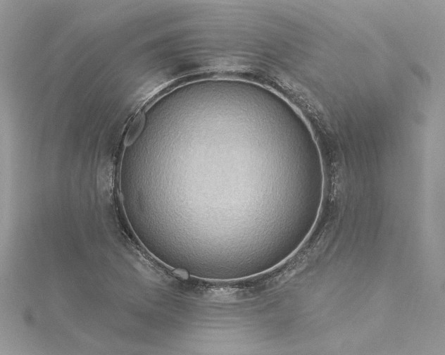 X0000115361169200911171346