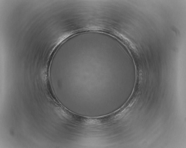 X0000115361170200911171346