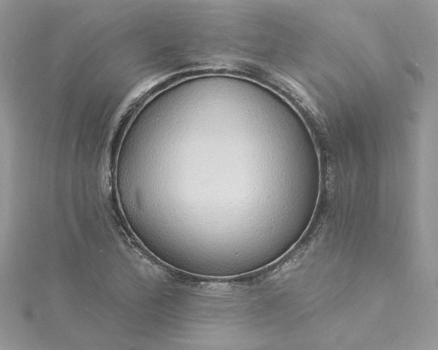 X0000115361172200911171346