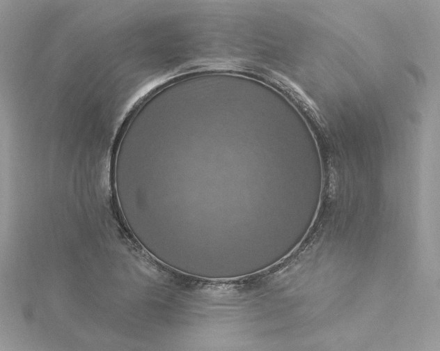 X0000115361174200911171346