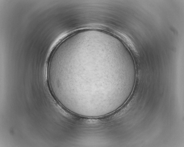 X0000115361180200911171346