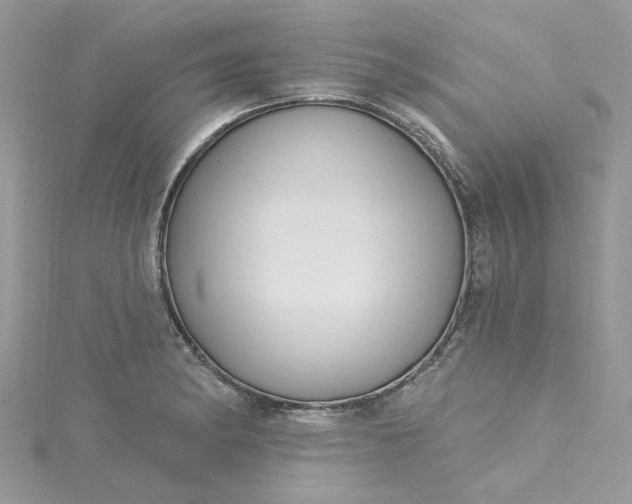 X0000115361182200911171346