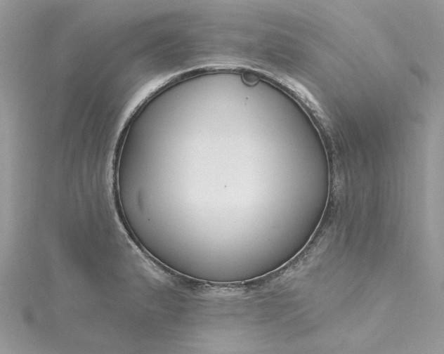 X0000115361183200911171346