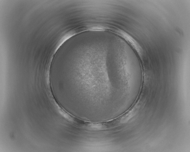 X0000115361194200911171346