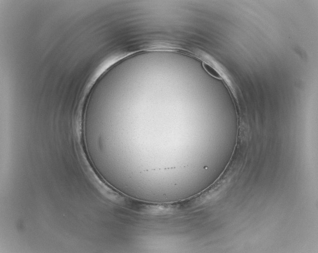 X0000115361195200911171346