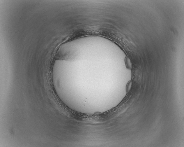 X0000115361201200911171345