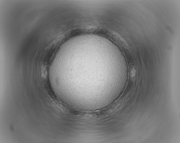 X0000115361204200911171346