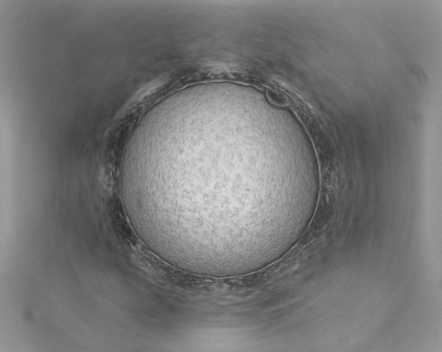 X0000115361207200911171346