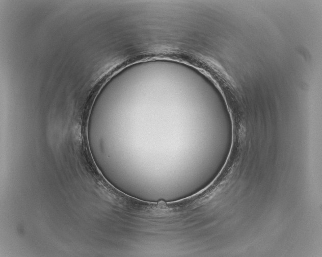X0000115361209200911171346