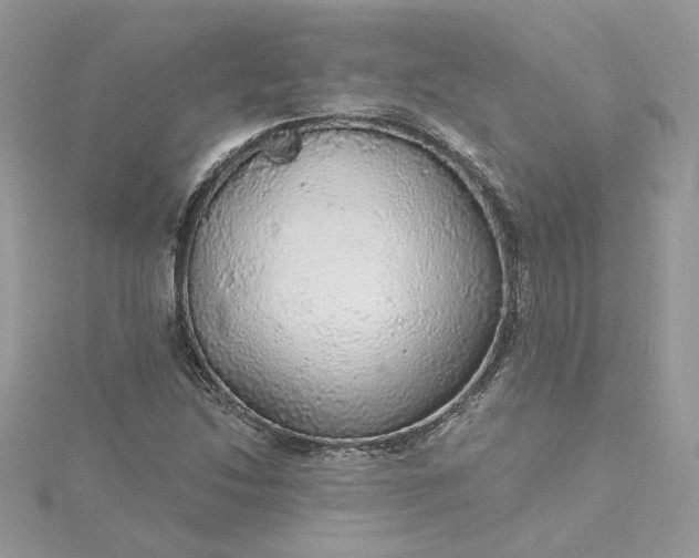 X0000115361214200911171346