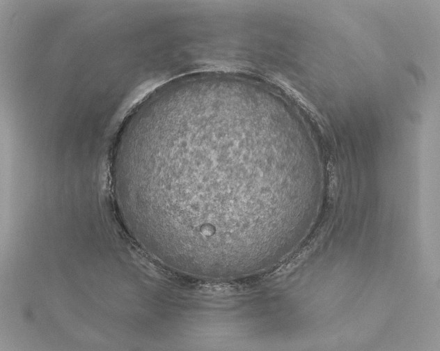 X0000115361215200911171346