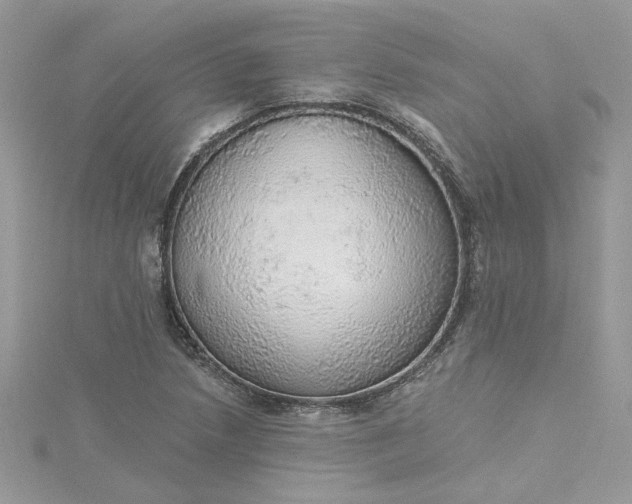 X0000115361218200911171346