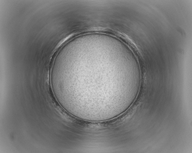X0000115361220200911171346