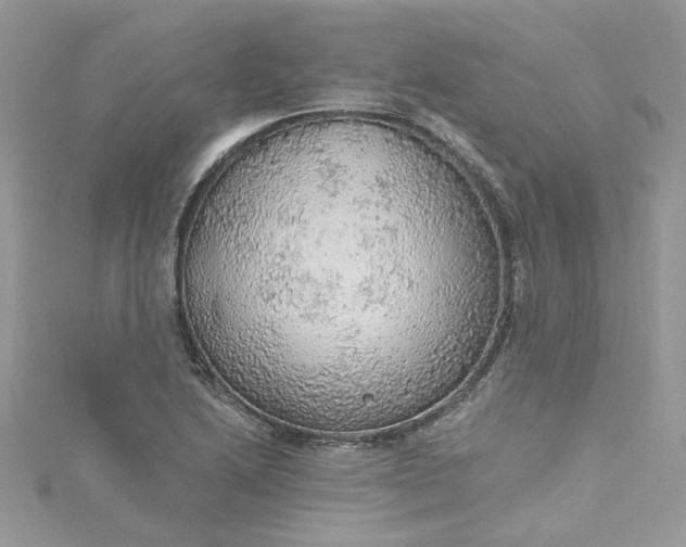 X0000115361222200911171346
