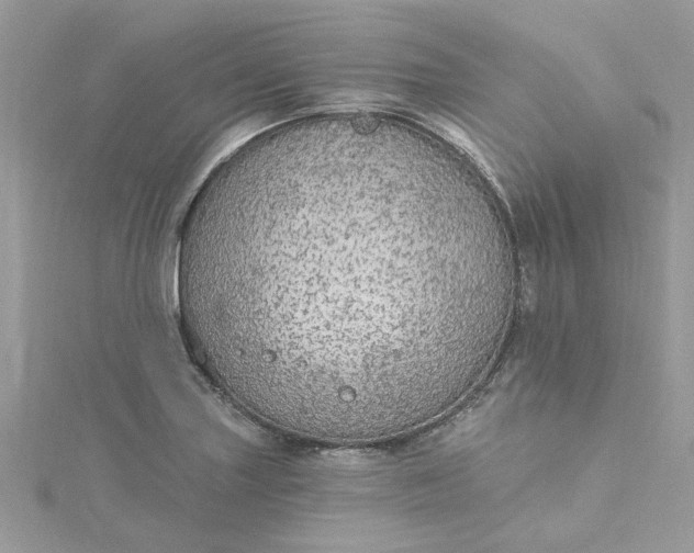 X0000115361227200911171346