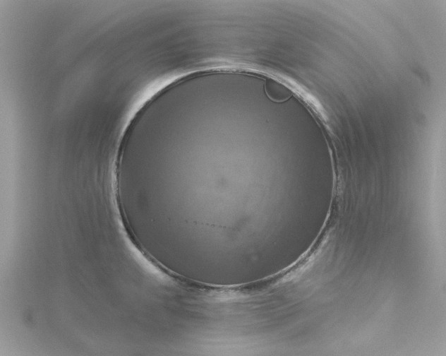 X0000115361239200911171346
