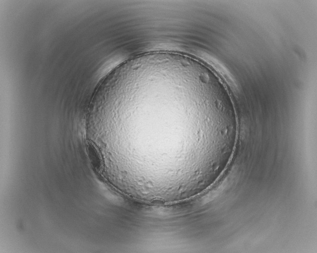 X0000115361241200911171346