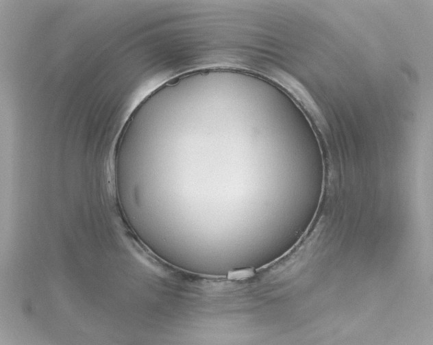X0000115361242200911171346