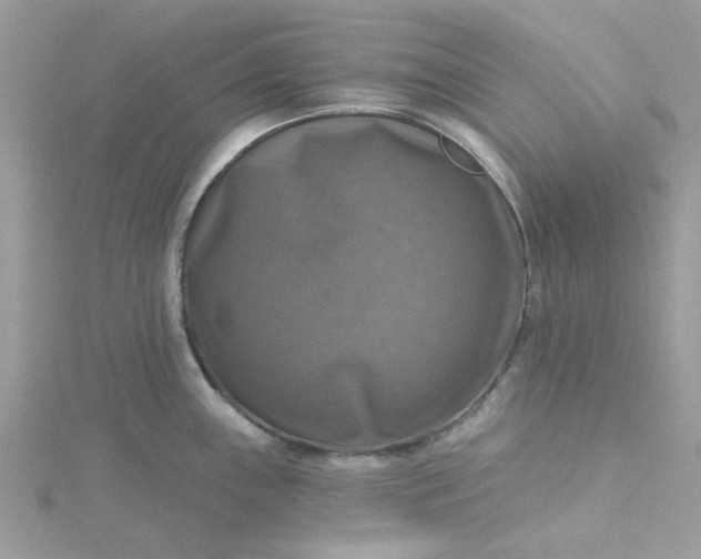 X0000115361243200911171346