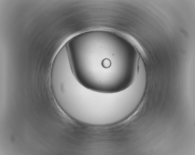 X0000115361244200911171346