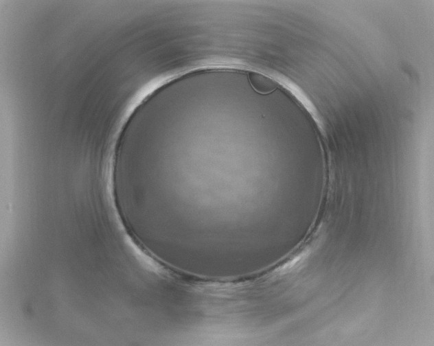 X0000115361245200911171346