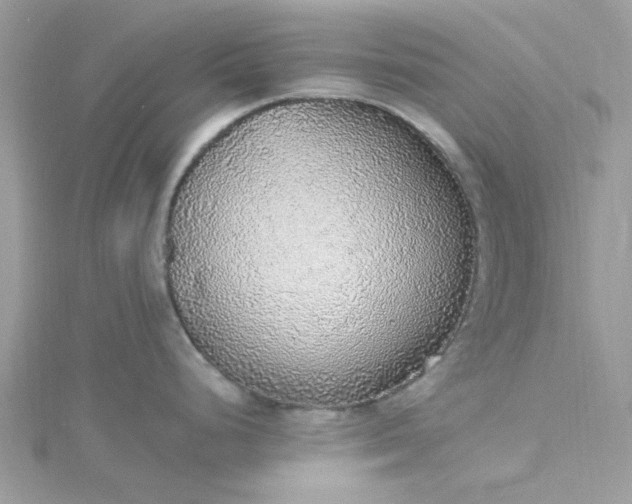 X0000115361248200911171346